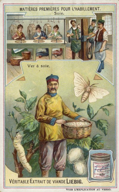 Silk: Silkworm by European School